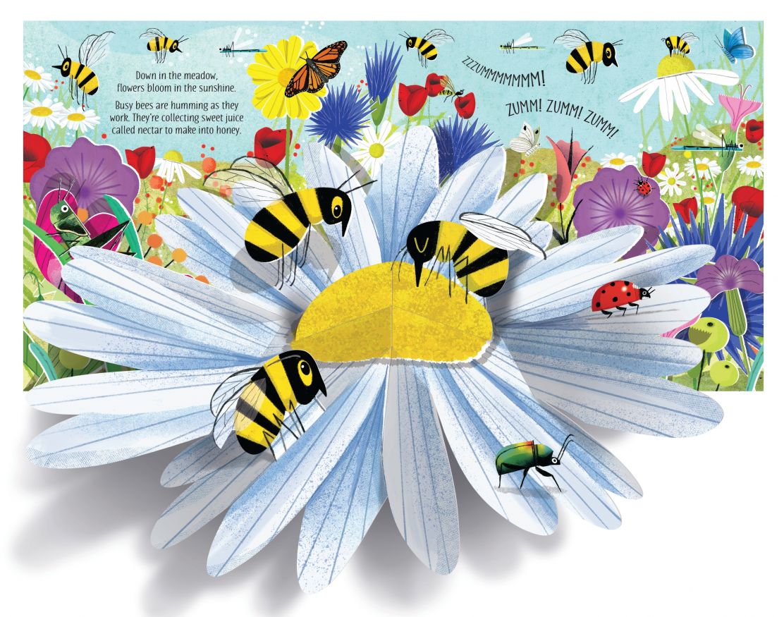 Usborne Pop-Up Nature