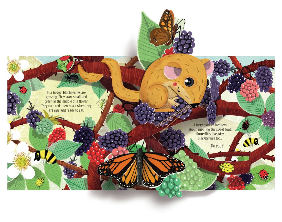 Usborne Pop-Up Nature