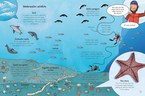Usborne 24 Hours in Antarctica