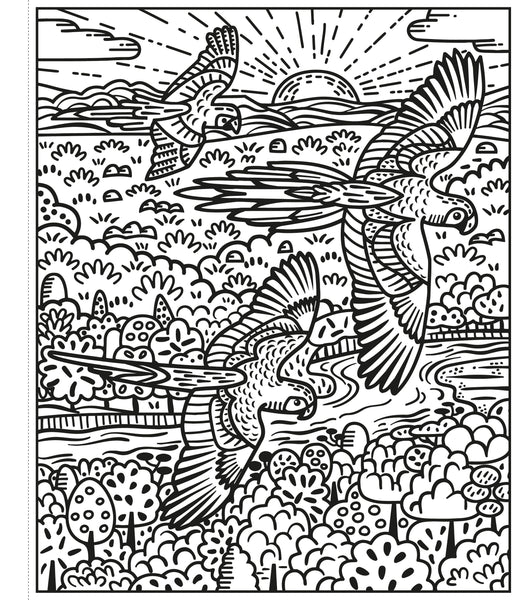 Usborne Birds Magic Painting Book