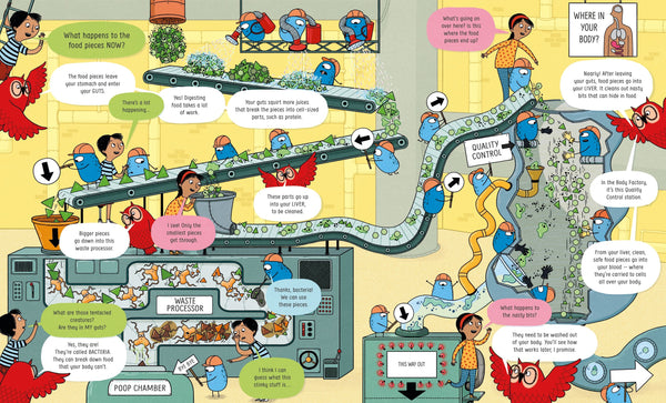 Usborne Book of the Body and How it Works