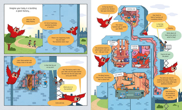 Usborne Book of the Body and How it Works