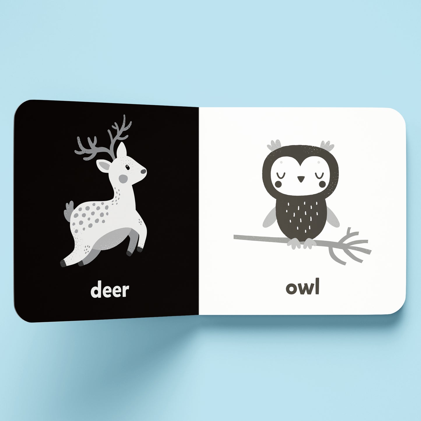 Nature: A High-Contrast Board Book