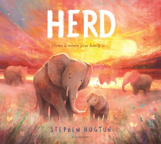 HERD  - Stephen Hogtun