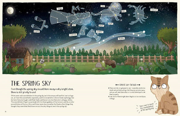 A Cat's Guide to the Night Sky