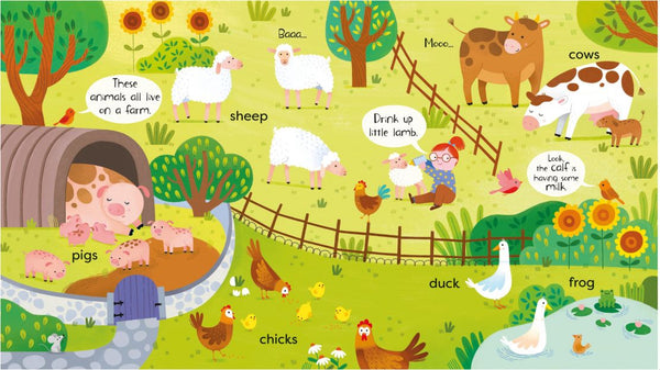 Usborne First Animals Book