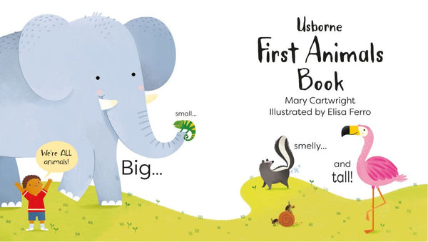 Usborne First Animals Book