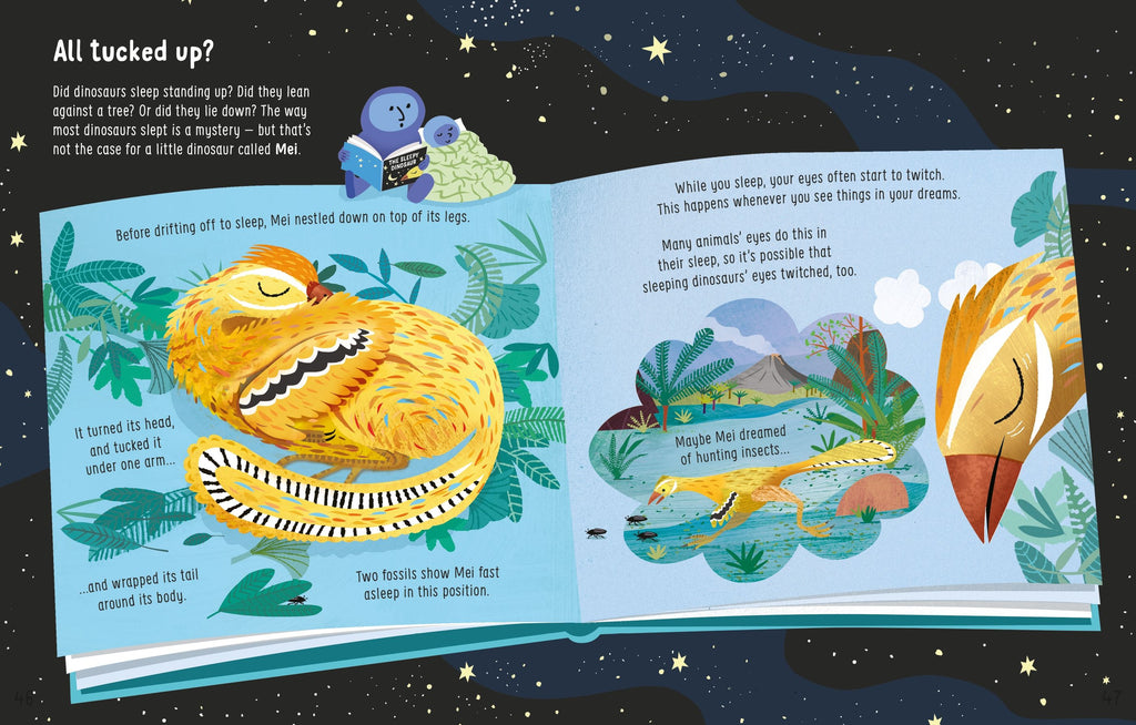 lots of things to know about dinosaurs usborne