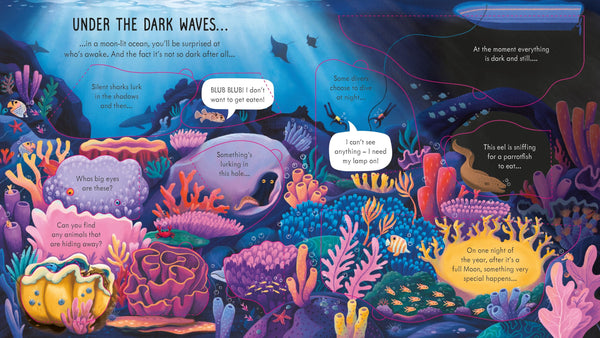 Usborne Lift-the-Flap Look Inside Night Time