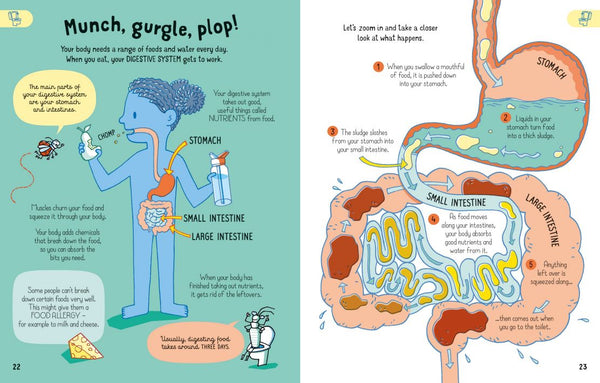 Usborne All You Need to Know about Your Body by Age 7