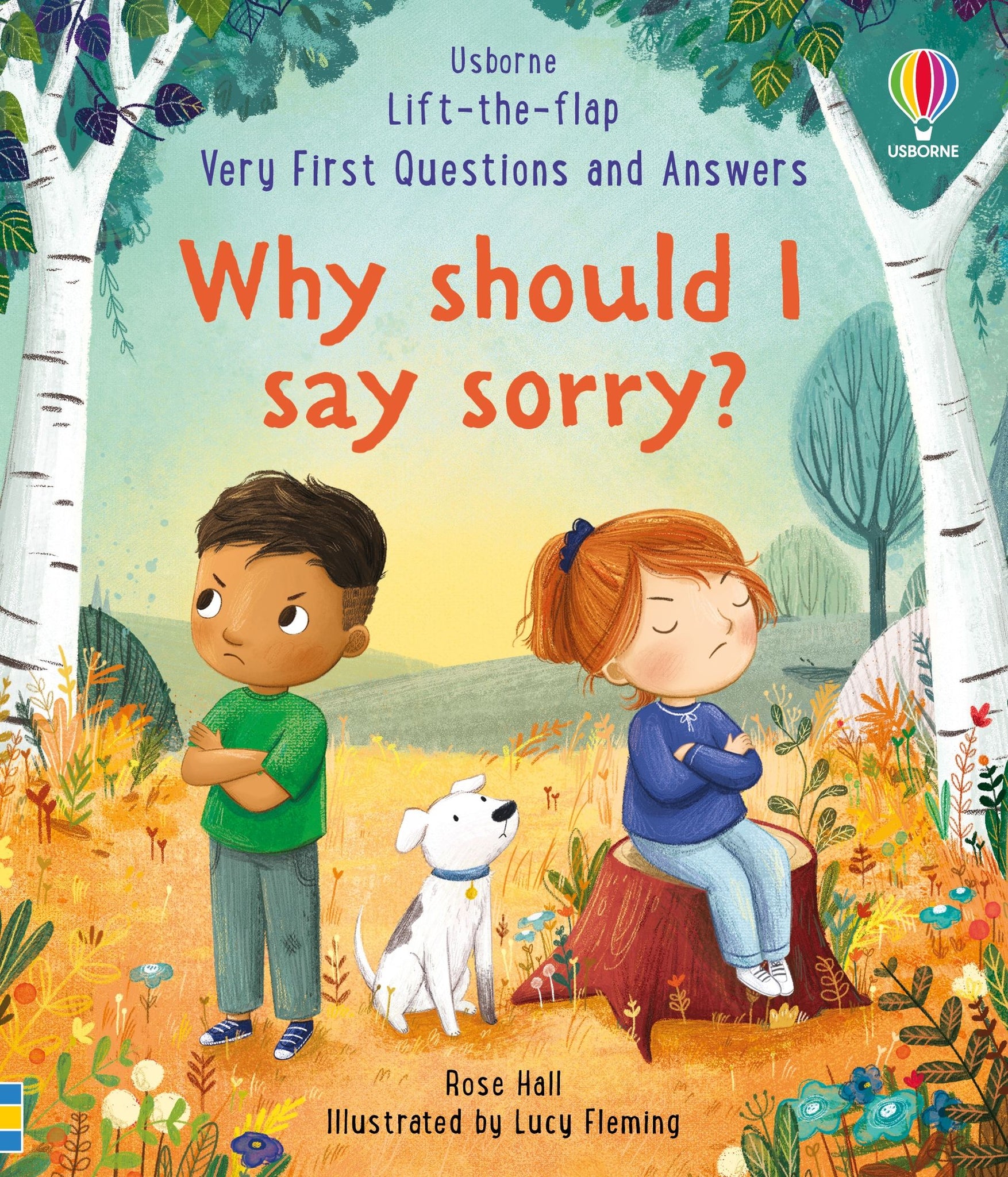 Usborne: Why Should I Say Sorry?