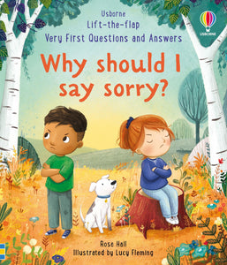Usborne: Why Should I Say Sorry?
