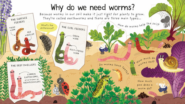 Usborne Lift-The-Flap First Questions & Answers: Why Do We Need Worms?