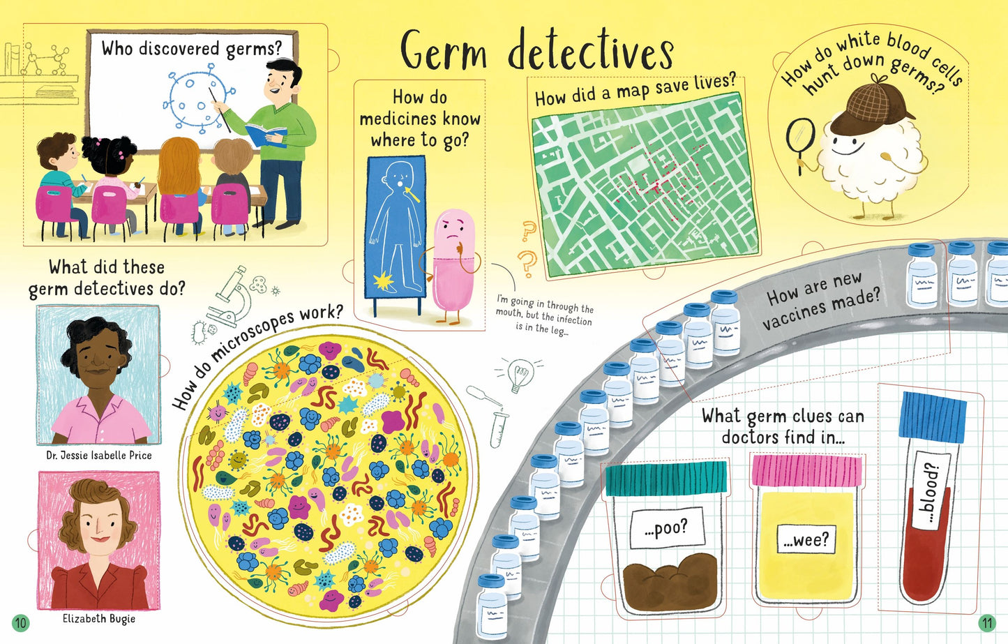 Usborne Lift-the-Flap Questions And Answers About Germs