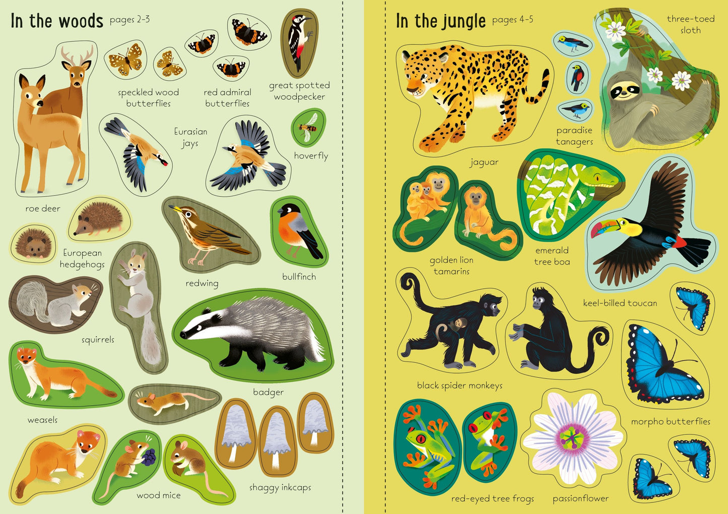 Usborne Little First Stickers Nature