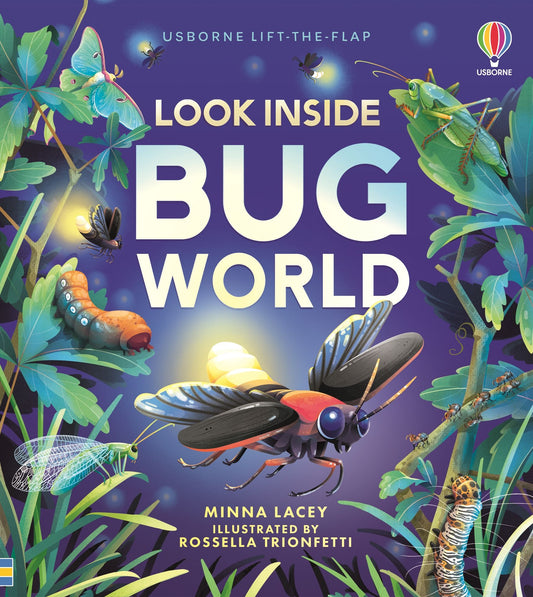Usborne Look Inside Bug World