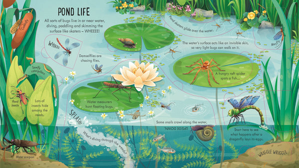Usborne Look Inside Bug World