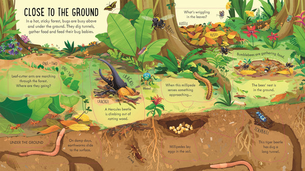 Usborne Look Inside Bug World