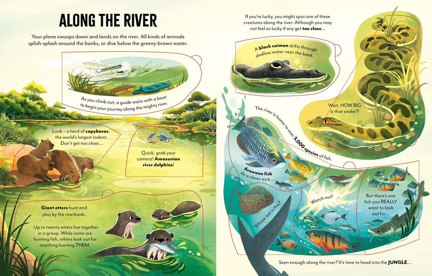 Usborne Extreme Planet: Journey Through The Amazon With Flaps