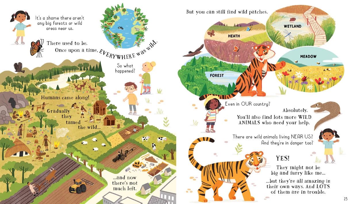 Usborne Can we Really Help the Tigers?