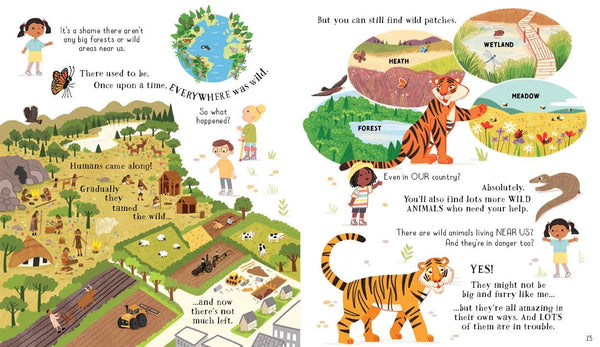 Usborne Can we Really Help the Tigers?