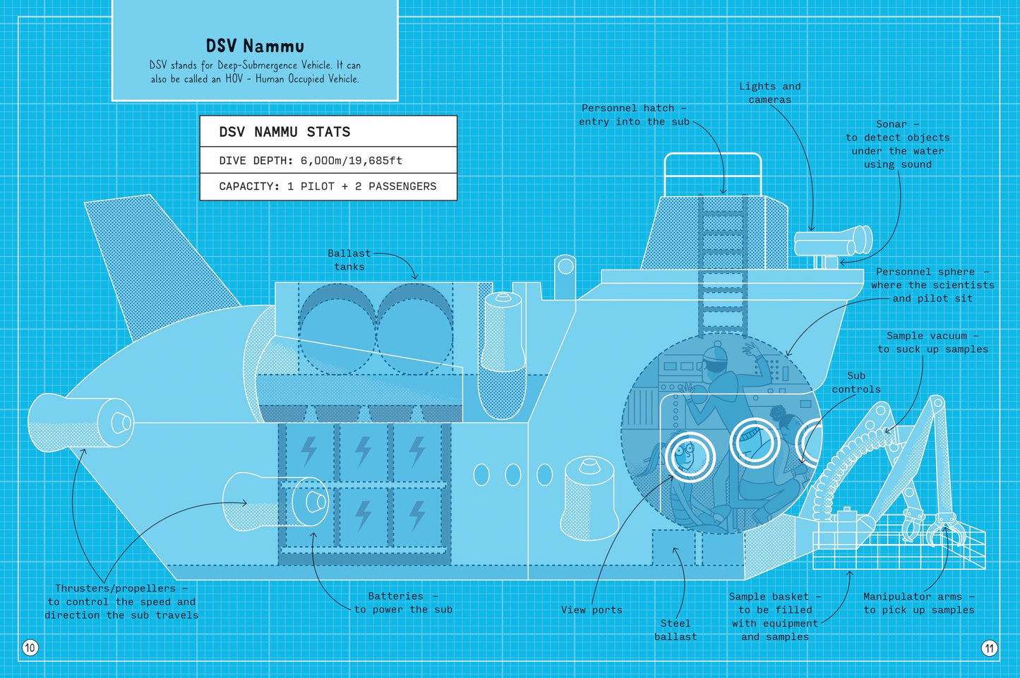 Usborne 24 Hours Under the Ocean