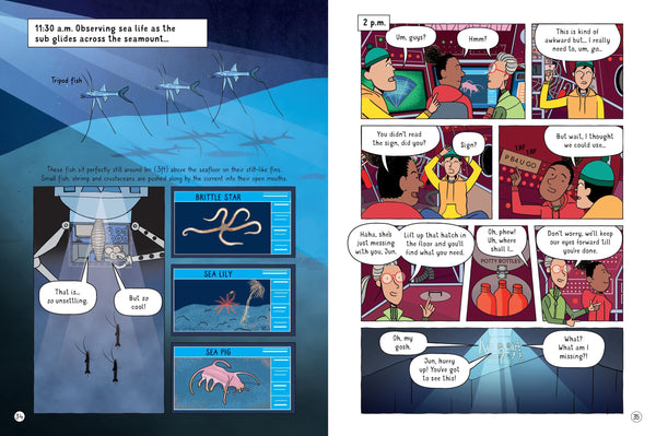 Usborne 24 Hours Under the Ocean