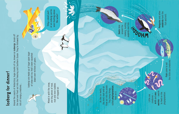 Usborne Lots of Things to Know About Seas and Oceans