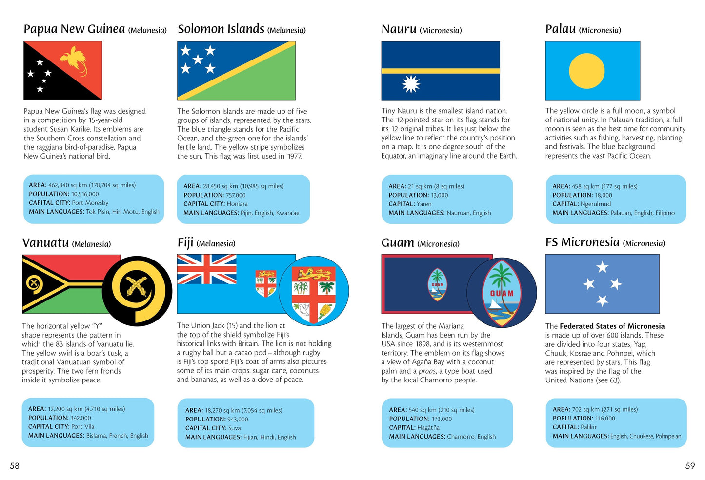 Usborne Spotter's Guides: Flags of the World