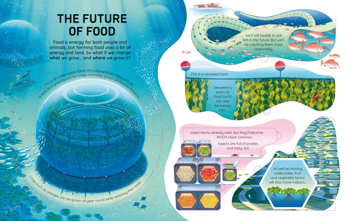 An Usborne Flap Book See Inside Future Energy
