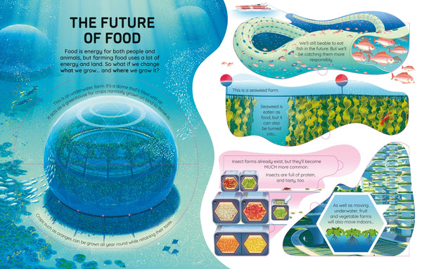 An Usborne Flap Book See Inside Future Energy