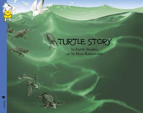 Turtle Story