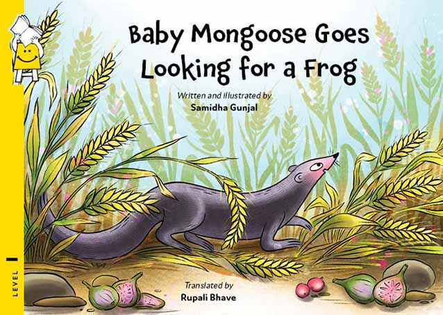 Baby Mongoose Goes Looking For a Frog