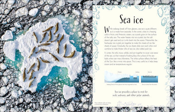 DK An Anthology of Our Extraordinary Earth