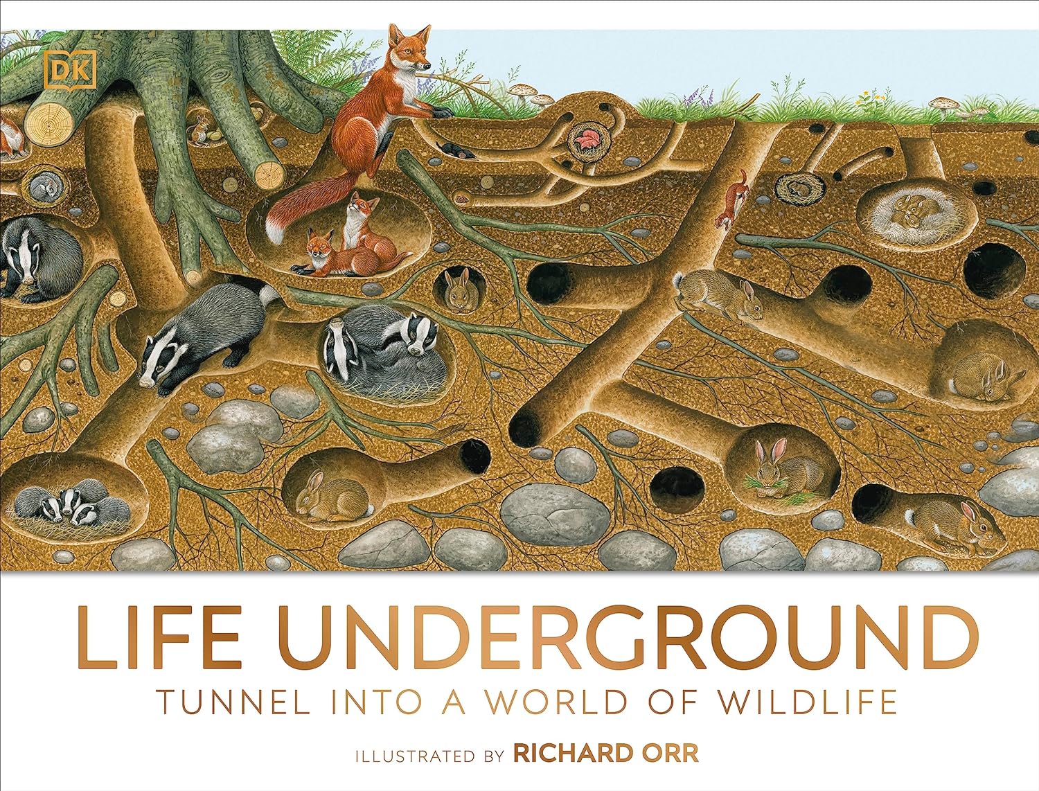 DK Life Underground Tunnel into a World of Wildlife