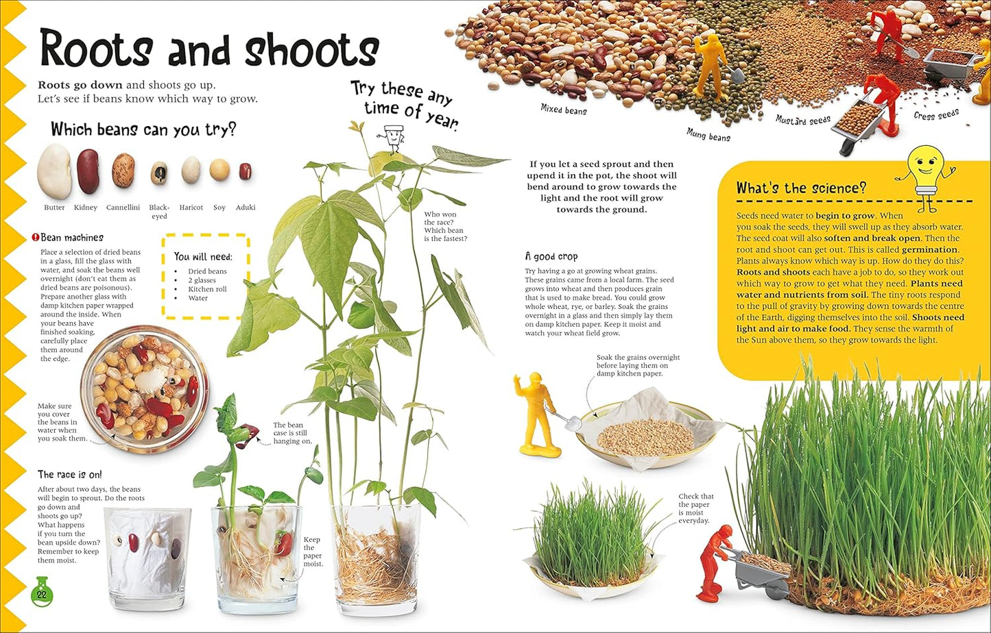 DK The Simple Science Activity Book