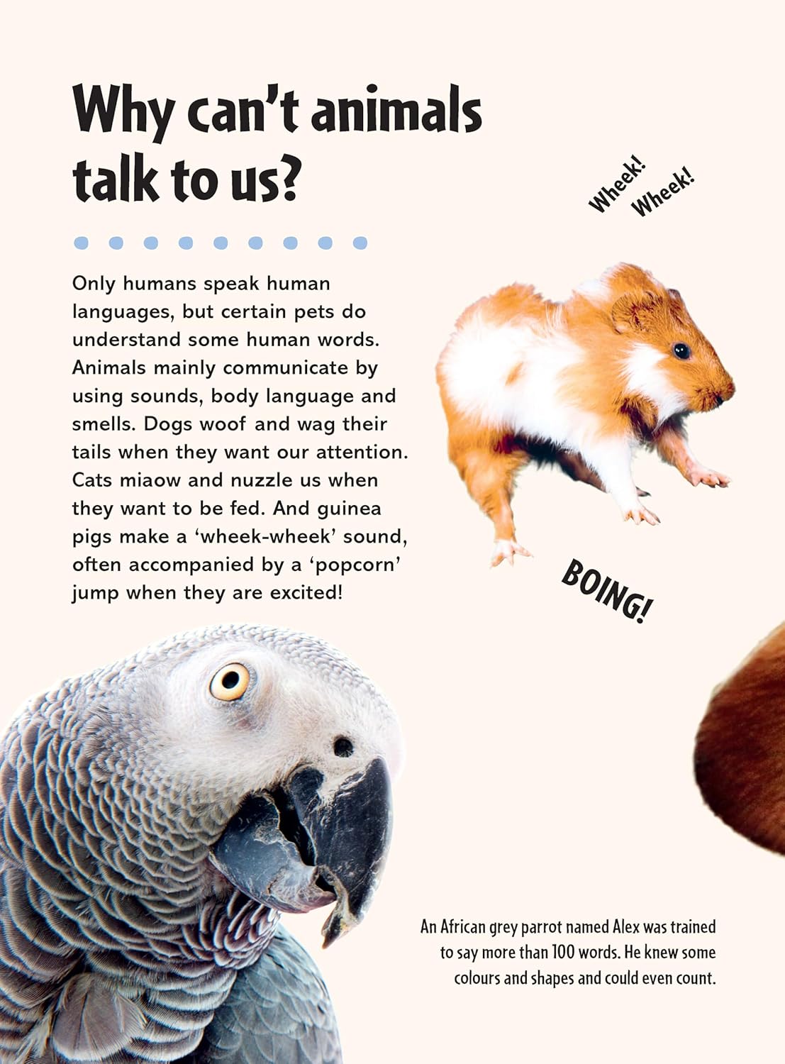 Britannica First Big Book of Why