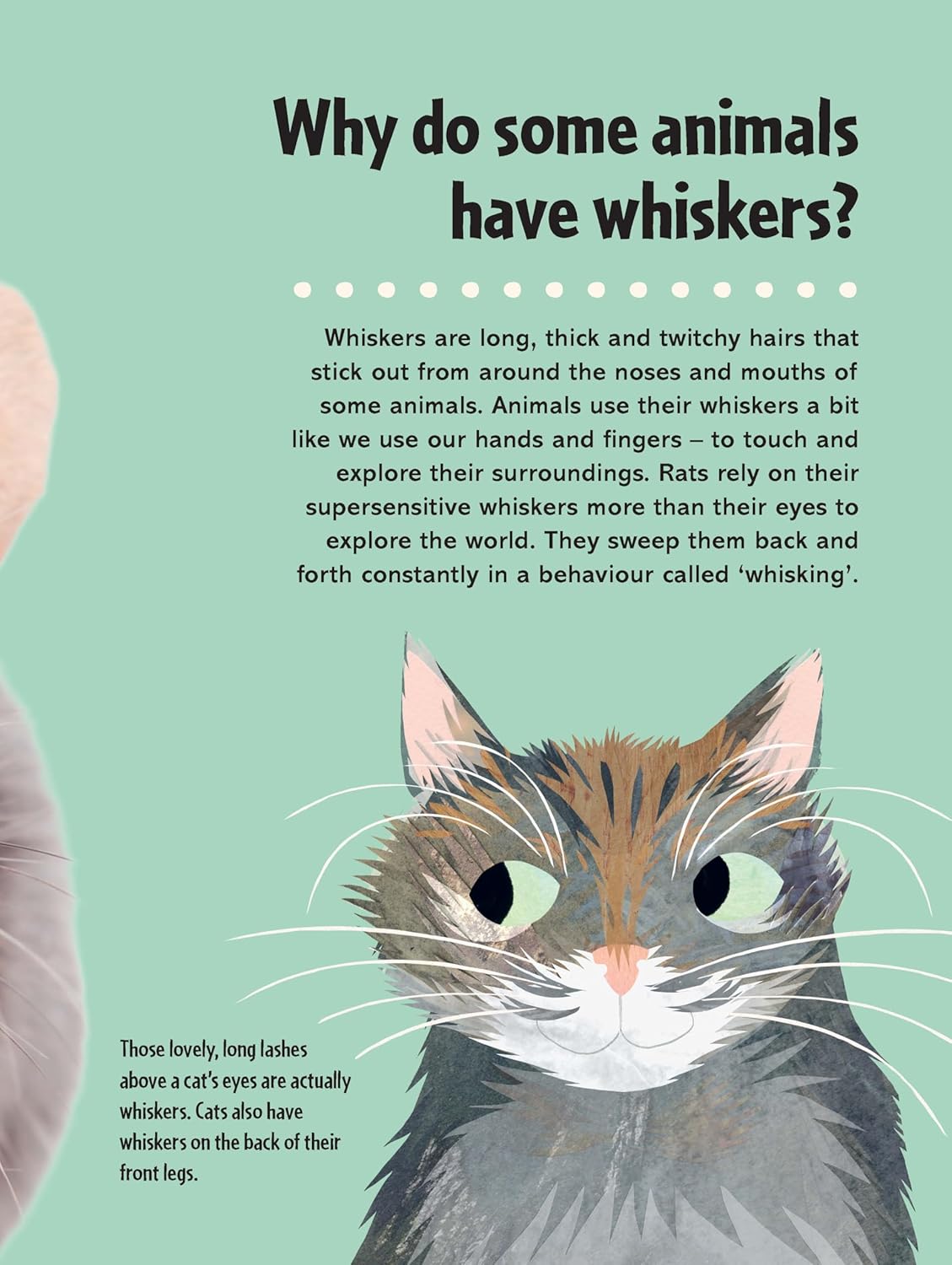 Britannica First Big Book of Why