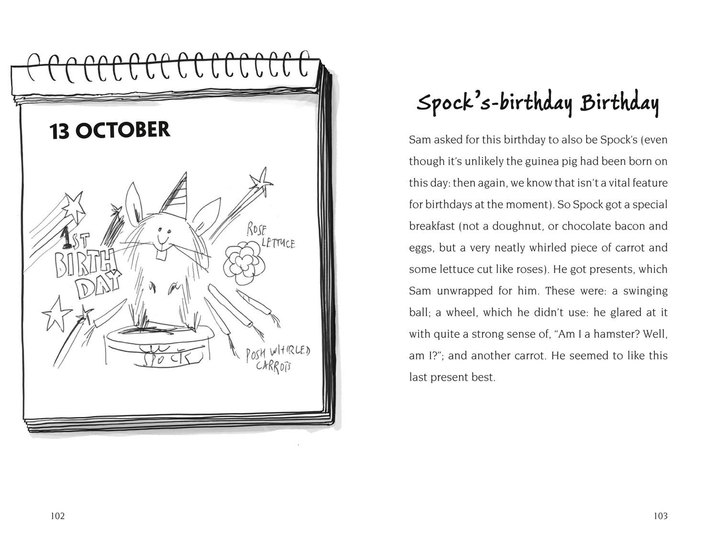 Birthday Boy - David Baddiel