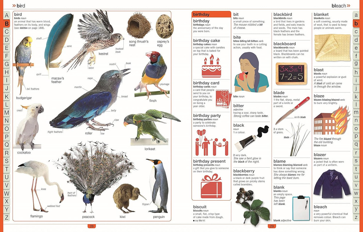 DK Children's Illustrated Dictionary