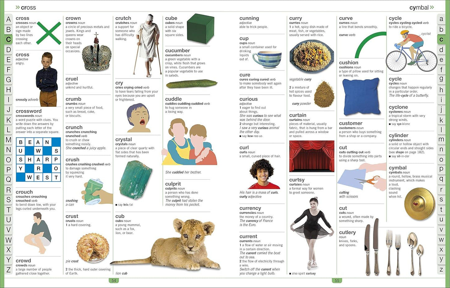 DK Children's Illustrated Dictionary