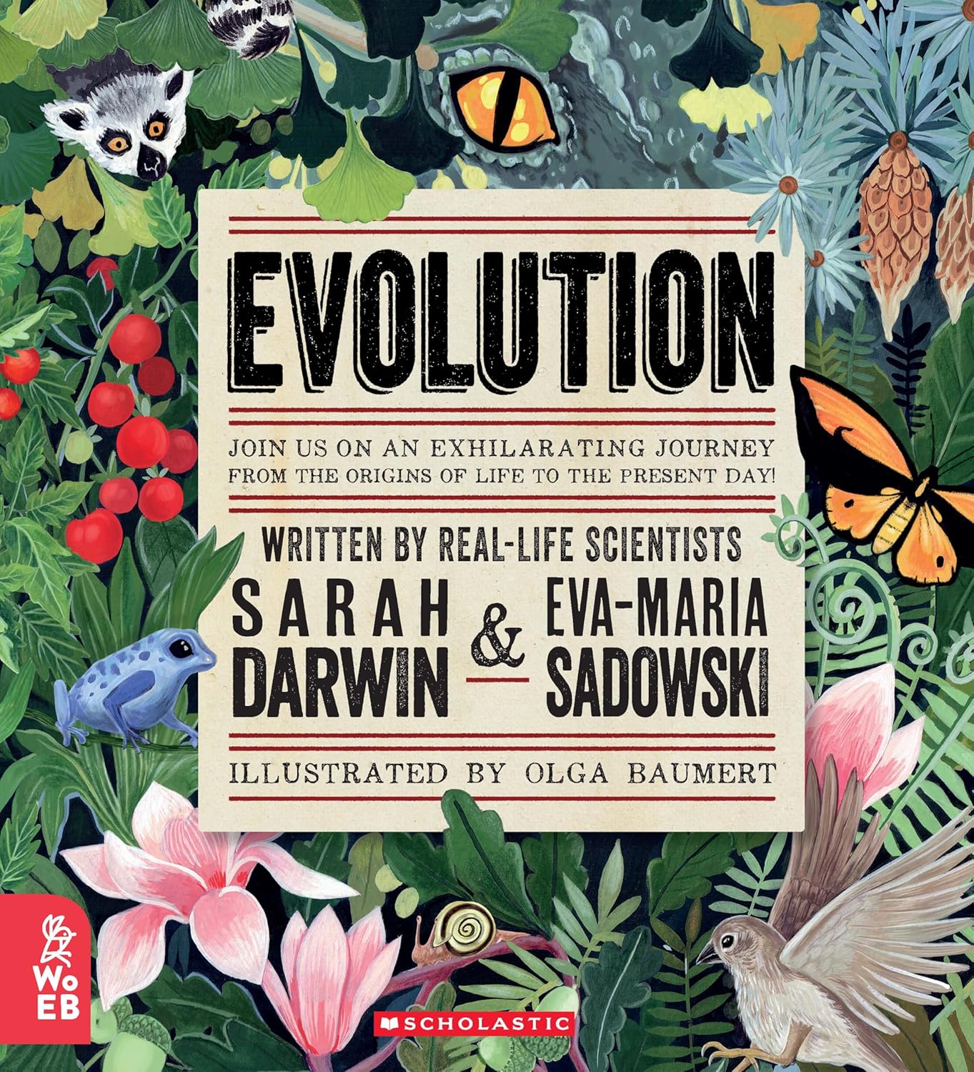 Evolution - Sarah Darwin