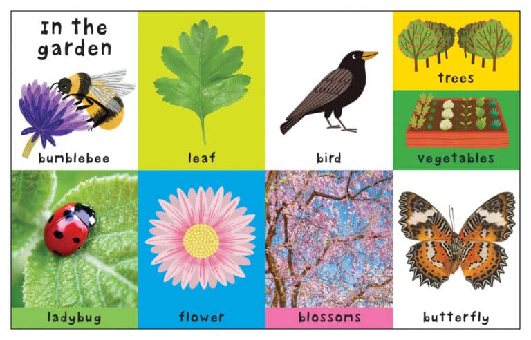 Priddy Books: First 100 Nature Words