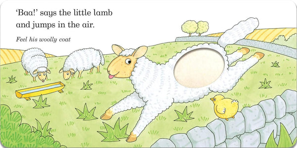 A Touch-and-Feel Book Fluffy Chick