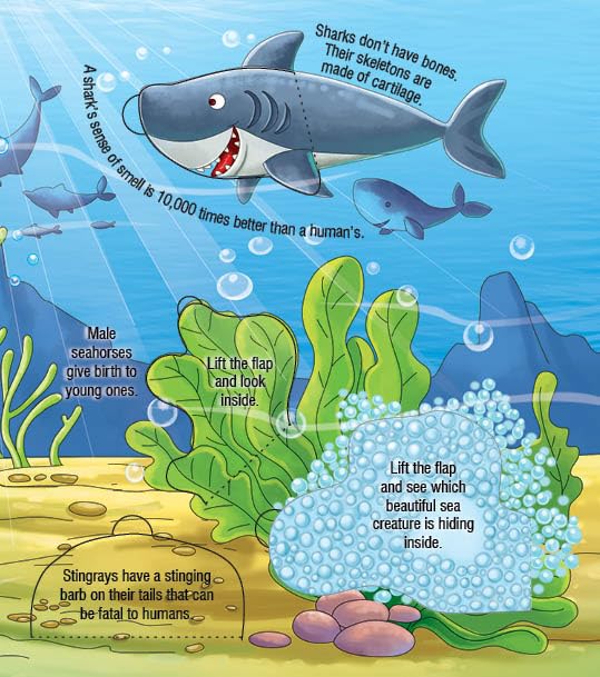 Animals At Home Explore Inside: Lift-the-Flap