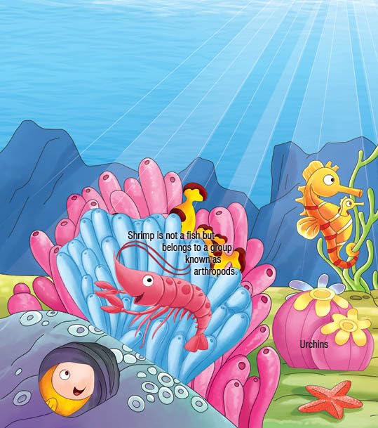 Animals At Home Explore Inside: Lift-the-Flap