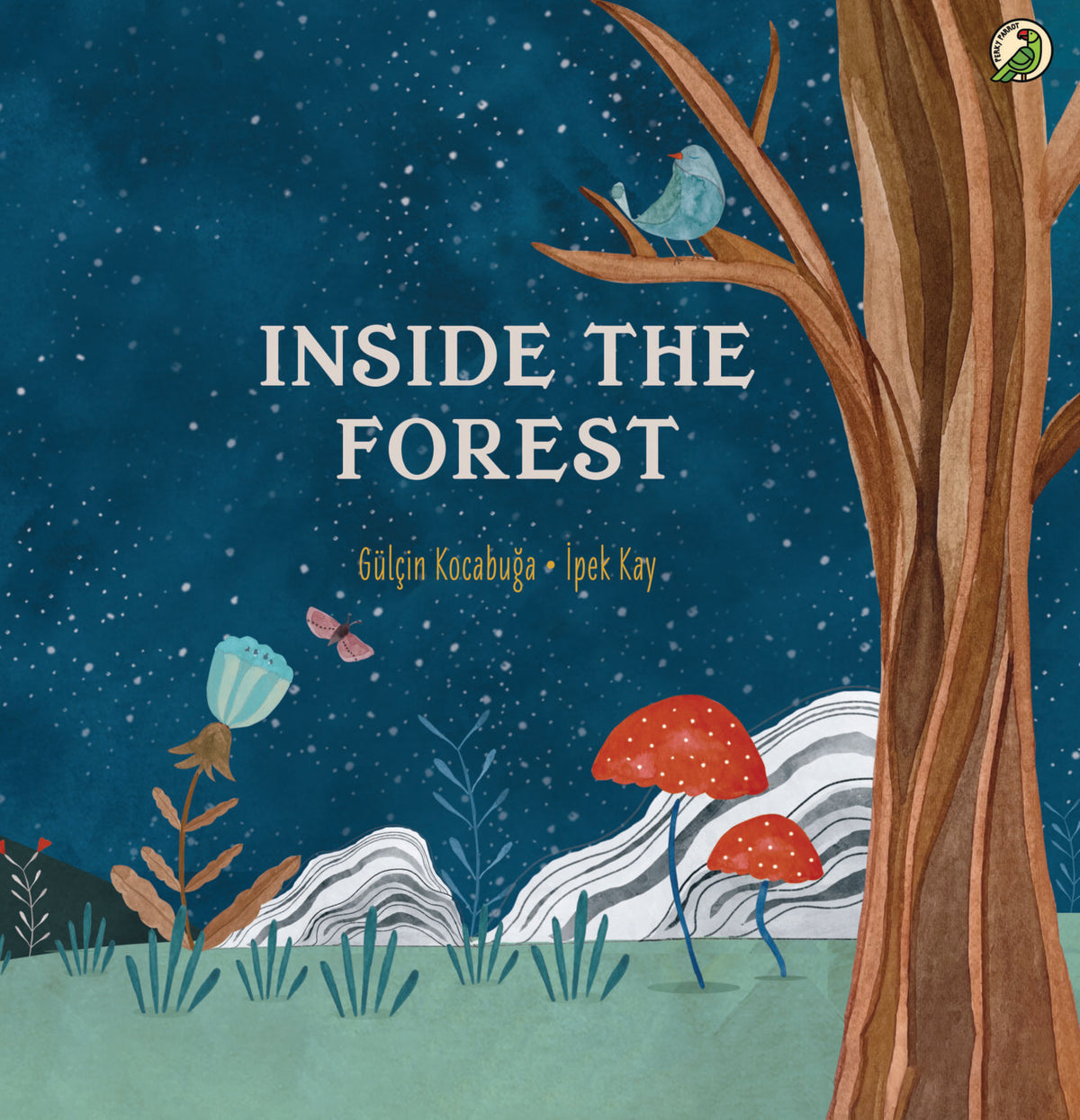 Inside the Forest – Pupilio
