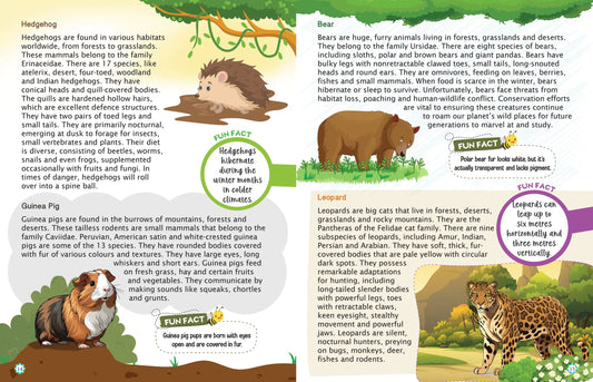 Kids Encyclopedia - Nature