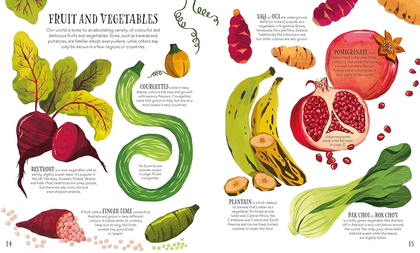 Usborne World Kitchen: Family Recipes From Around the World