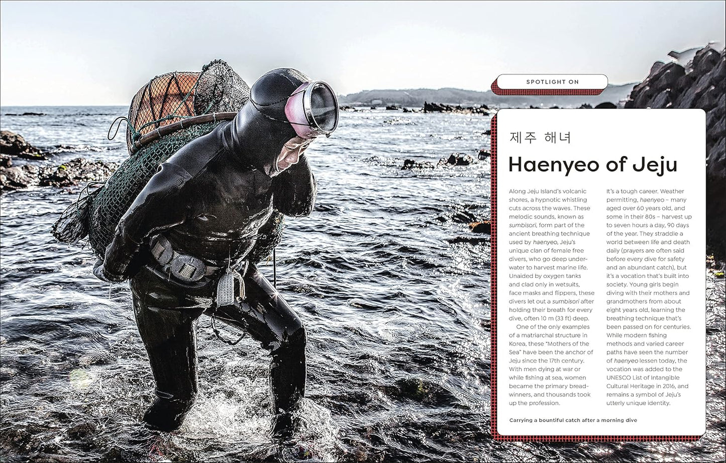 Hello, South Korea: Meet the Country Behind Hallyu